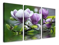 OBRAZOVÝ TRIPTIQUE KVETY MAGNOLIAS TRIPTICS 120x80 OBRAZOVÝ TRIPTIQUE KVETY MAGNOLIAS TRIPTICS 120x80