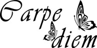 Nálepka na stenu Carpe diem motivačný citát 50 cm Nálepka na stenu Carpe diem motivačný citát 50 cm
