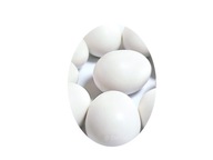 Umelé vajíčka FULL KAČACIA HUS BASE veľkosť XL