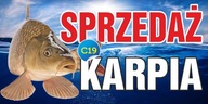 Reklamný pútač - Kapor Vianočná INZERCIA 200x100cm Reklamný pútač - Kapor Vianočná INZERCIA 200x100cm