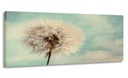 MAĽBA PANORÁMY DANEL 120x50 NA PLÁTNO
