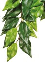 Hagen Umelá rastlina Ficus L EX-0506