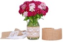 Juta Ribbon s čipkou set 10cm/5m Juta