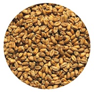 PŠENIČNÉ SLADY 5 kg Vikingský slad PŠENIČNÉ SLADY 5 kg Vikingský slad