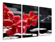 OBRAZ TRIPTYCHOVÝCH KVETOV ČERVENÝ TRIPTYCH 120x80 OBRAZ TRIPTYCHOVÝCH KVETOV ČERVENÝ TRIPTYCH 120x80