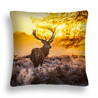 VANKÚŠ ZW 13 DEER V RUTTER SUNRISE PL VANKÚŠ ZW 13 DEER V RUTTER SUNRISE PL