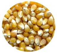 POPCORN Prémiová prírodná kukurica 25kg