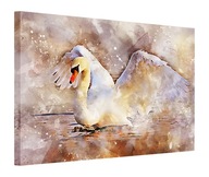 OBRAZ 80x60 LABUŤ OBRAZ 80x60 LABUŤ