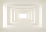FOTOTAPETA 400x280cm 3D HĹBKA TUNELU a-A-0124-a-b FOTOTAPETA 400x280cm 3D HĹBKA TUNELU a-A-0124-a-b