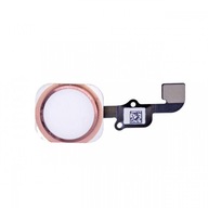 Tape Button ID Reader Home iPhone 6S ROSE