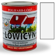 Lowicyn galvanizačná farba HLINÍK RAL9005 MAT 10L Lowicyn galvanizačná farba HLINÍK RAL9005 MAT 10L