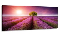 PANORAMA MAĽBA LEVANDUĽOVÉ POLE 150x60 DO OBÝVAČKY PANORAMA MAĽBA LEVANDUĽOVÉ POLE 150x60 DO OBÝVAČKY