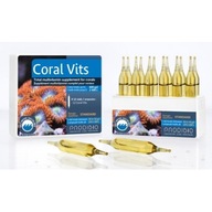 Prodibio Coral Vits 1 amp