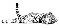 NÁLEPY NA STENU, TIGER, NÁLEPKA TIGR XL NÁLEPY NA STENU, TIGER, NÁLEPKA TIGR XL
