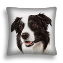 VANKÚŠ PRE PSA 12 BORDER COLLIE SHEPHERD VANKÚŠOK PL