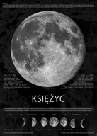Fázy mesiaca Informácie - plagát 50x70 cm Fázy mesiaca Informácie - plagát 50x70 cm