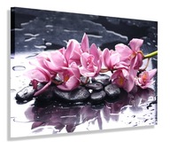 OBRÁZKOVÉ KVETY RUŽOVÉ ORCHIDEJE 120x80 do obývačky OBRÁZKOVÉ KVETY RUŽOVÉ ORCHIDEJE 120x80 do obývačky
