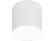 Stropné svietidlo POINT PLEXI LED WHITE M od Nowodvor