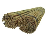 BAMBUSOVÉ TYČE 45 cm 8/10 mm /100 ks/, bambus