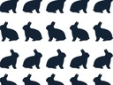 Follow The Bunny - šablóna na maľovanie zajačika