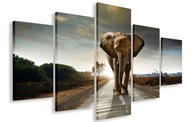 OBRAZ OBROVSKÝ SLON AFRICKÝ 150x100 PLÁTNO OBRAZ OBROVSKÝ SLON AFRICKÝ 150x100 PLÁTNO