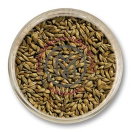 Mníchovský slad II VikingMalt Strzegom 5kg zr Mníchovský slad II VikingMalt Strzegom 5kg zr