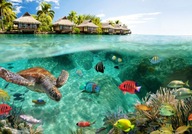 FOTOTAPETA OCEAN REEF ISLAND 400x280cm c-A-0027-a-a