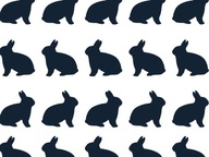 Follow The Bunny - šablóna na maľovanie zajačika