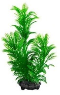 Tetra DecoArt Rastlina L GREEN CABOMBA Rastlina 30cm Tetra DecoArt Rastlina L GREEN CABOMBA Rastlina 30cm