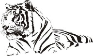 Nálepka na stenu Tiger - Divoké mačky 8 Nálepka na stenu Tiger - Divoké mačky 8