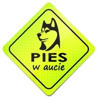 CHRÁŇTE SVOJHO ZVIERATKA Reflexný magnet Neónový Psík V AUTE CHRÁŇTE SVOJHO ZVIERATKA Reflexný magnet Neónový Psík V AUTE