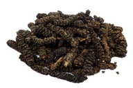 Paprika LONG, pochúťka, dlhozrnná, 100 g Paprika LONG, pochúťka, dlhozrnná, 100 g