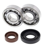 LOŽISKÁ Kľukového hriadeľa KTM SX 50 06-08 LOŽISKÁ Kľukového hriadeľa KTM SX 50 06-08