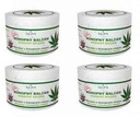 4x Konopný balzam ALPA konopná masť 250ml + zdarma