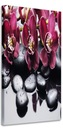 VERTIKÁLNY OBRAZ BORCHIDEJ ORCHIDEJ 60x120