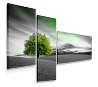 OBRAZOVÝ TRIPTYCH 150x100 SIVÁ ZELENÁ MODERNÁ OBRAZOVÝ TRIPTYCH 150x100 SIVÁ ZELENÁ MODERNÁ