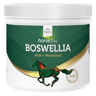 HORSE LINE Boswellia MSM kĺbový doplnok 500g HORSE LINE Boswellia MSM kĺbový doplnok 500g