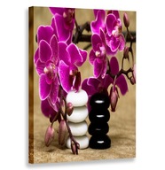 VERTIKÁLNY OBRAZ ORCHIDEJ ŠTRK 40x60 VERTIKÁLNY VERTIKÁLNY OBRAZ ORCHIDEJ ŠTRK 40x60 VERTIKÁLNY