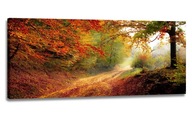 OBRAZ LES JESENNÁ PANORÁMA 150x60 MAĽBY NA PLÁTNO OBRAZ LES JESENNÁ PANORÁMA 150x60 MAĽBY NA PLÁTNO