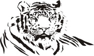 Nálepka na stenu Tiger - Divoké mačky 7 Nálepka na stenu Tiger - Divoké mačky 7