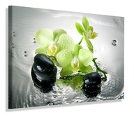 OBRAZ OBRAZ NA PLÁTNO ZELENÁ ORCHIDEA 70x50 OBRAZ OBRAZ NA PLÁTNO ZELENÁ ORCHIDEA 70x50
