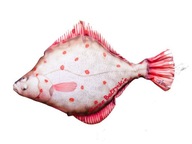 GABY plyšový vankúšik rybička FLOUNDER 41cm