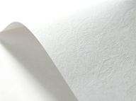 Dekoračný vizitkový papier 246g KOŽA biela 100A4 Dekoračný vizitkový papier 246g KOŽA biela 100A4