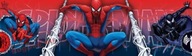 Bordový okrajový pás Spider-Man ozdobný spiderman