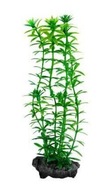 Tetra DecoArt Rastlina L ANACHARIS Rastlina 30cm Tetra DecoArt Rastlina L ANACHARIS Rastlina 30cm