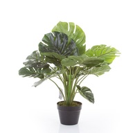 umelé stromy MONSTERA 60 cm umelé príšery