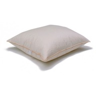 VANKÚŠ PÁROVÝ 70x80 3kg HUSIACI PRIETOK LUX 2 FARBY VANKÚŠ PÁROVÝ 70x80 3kg HUSIACI PRIETOK LUX 2 FARBY