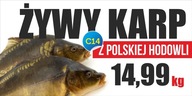 Reklamný pútač - Kapor Vianočná INZERCIA 200x100cm Reklamný pútač - Kapor Vianočná INZERCIA 200x100cm