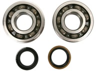 LOŽISKÁ Kľukového hriadeľa SUZUKI RMZ 450 05-07 LOŽISKÁ Kľukového hriadeľa SUZUKI RMZ 450 05-07