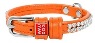 WAUDOG KOŽENÝ GOLIER PRE PSA 9MM 19-25CM WAUDOG KOŽENÝ GOLIER PRE PSA 9MM 19-25CM